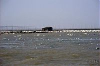 Trek.Today search results: Floating village, China