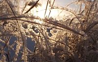 World & Travel: winter photography