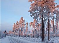 World & Travel: winter photography