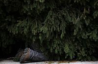 World & Travel: world photo news
