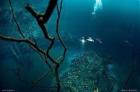 World & Travel: Underwater river, Cenote Angelita, Mexico