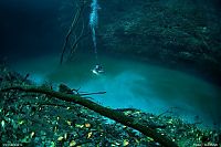 World & Travel: Underwater river, Cenote Angelita, Mexico