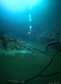 Trek.Today search results: Underwater river, Cenote Angelita, Mexico