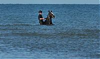 World & Travel: photos of beaches and shorelines