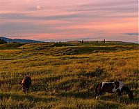 Trek.Today search results: Landscape photography by Neil Joules