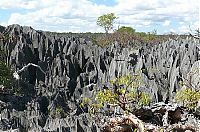 Stone Forest in Madagascar, Manambulu - Bemaraha