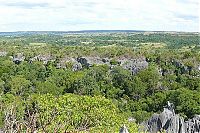 Trek.Today search results: Stone Forest in Madagascar, Manambulu - Bemaraha