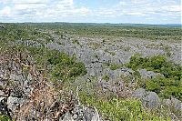 Trek.Today search results: Stone Forest in Madagascar, Manambulu - Bemaraha