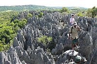 World & Travel: Stone Forest in Madagascar, Manambulu - Bemaraha