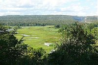 Trek.Today search results: Stone Forest in Madagascar, Manambulu - Bemaraha