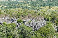 Trek.Today search results: Stone Forest in Madagascar, Manambulu - Bemaraha