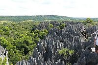 Trek.Today search results: Stone Forest in Madagascar, Manambulu - Bemaraha