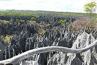 World & Travel: Stone Forest in Madagascar, Manambulu - Bemaraha