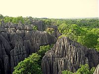 World & Travel: Stone Forest in Madagascar, Manambulu - Bemaraha