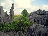 Trek.Today search results: Stone Forest in Madagascar, Manambulu - Bemaraha