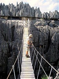 Trek.Today search results: Stone Forest in Madagascar, Manambulu - Bemaraha