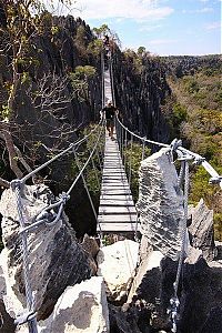 Trek.Today search results: Stone Forest in Madagascar, Manambulu - Bemaraha