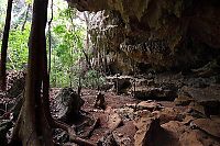 Trek.Today search results: Stone Forest in Madagascar, Manambulu - Bemaraha