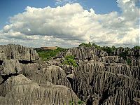 Trek.Today search results: Stone Forest in Madagascar, Manambulu - Bemaraha