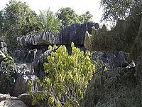 World & Travel: Stone Forest in Madagascar, Manambulu - Bemaraha