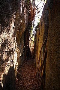 Stone Forest in Madagascar, Manambulu - Bemaraha