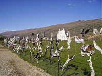 Trek.Today search results: Bra fence, idea by John Lee, 66-year-old farmer, New Zealand