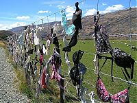 World & Travel: Bra fence, idea by John Lee, 66-year-old farmer, New Zealand