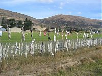 Trek.Today search results: Bra fence, idea by John Lee, 66-year-old farmer, New Zealand