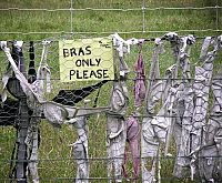 World & Travel: Bra fence, idea by John Lee, 66-year-old farmer, New Zealand