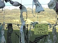 Trek.Today search results: Bra fence, idea by John Lee, 66-year-old farmer, New Zealand