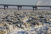 World & Travel: Mississippi frozen river, United States