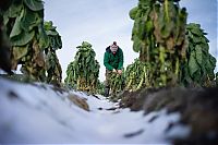 World & Travel: winter photography