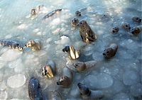 World & Travel: winter photography