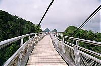 Trek.Today search results: Bridge without end, Malaysia