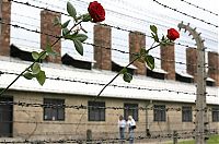 World & Travel: Auschwitz, Poland