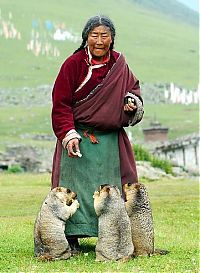 World & Travel: Tibet