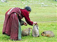 World & Travel: Tibet