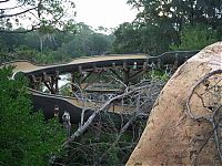 World & Travel: The abandoned water park in Walt Disney World, United States