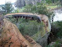 World & Travel: The abandoned water park in Walt Disney World, United States