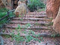 Trek.Today search results: The abandoned water park in Walt Disney World, United States