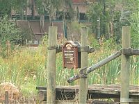 Trek.Today search results: The abandoned water park in Walt Disney World, United States