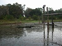 World & Travel: The abandoned water park in Walt Disney World, United States