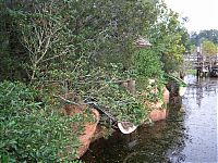 World & Travel: The abandoned water park in Walt Disney World, United States