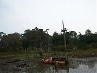 World & Travel: The abandoned water park in Walt Disney World, United States