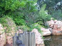 World & Travel: The abandoned water park in Walt Disney World, United States