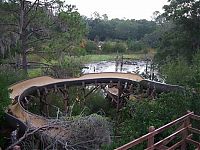 World & Travel: The abandoned water park in Walt Disney World, United States