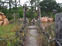 Trek.Today search results: The abandoned water park in Walt Disney World, United States