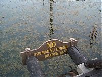 World & Travel: The abandoned water park in Walt Disney World, United States