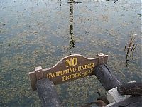 Trek.Today search results: The abandoned water park in Walt Disney World, United States