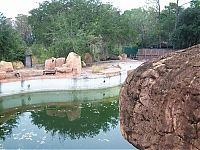 Trek.Today search results: The abandoned water park in Walt Disney World, United States